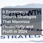 5 Ecommerce Growth Strategies That Maximize Productivity and Profit in 2024